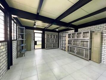 Ultiman detalles del hotel para perros