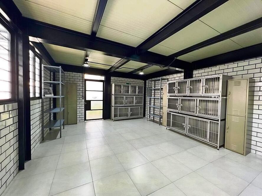 El hotel para perros y gatos abandonados ofrecerá servicios gratuitos como esterilización, estética y adopción. Foto: Especial