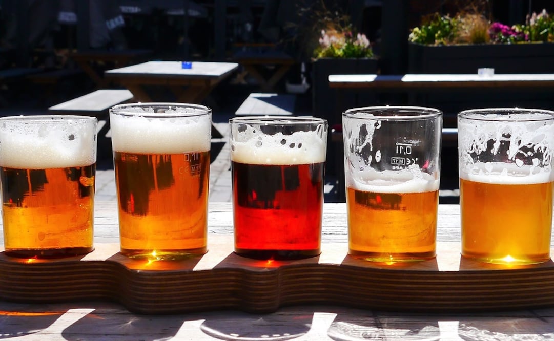 El día de la cerveza comenzó a celebrarse en agosto de 2008 / Fotos: Pixabay)