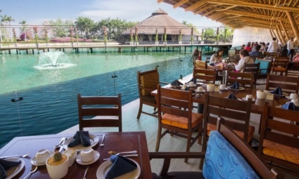 Jardines de México abre por tiempo limitado: 10 cosas qué hacer en tu visita