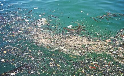 Basura plástica, principal reto a enfrentar en el Día Mundial del Medio Ambiente