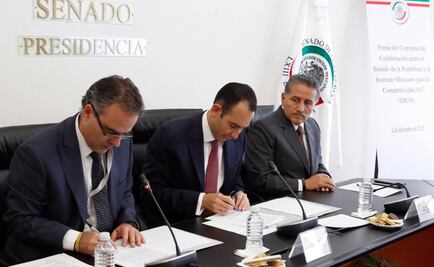 Colaborará IMCO con Senado para elaborar leyes anticorrupción