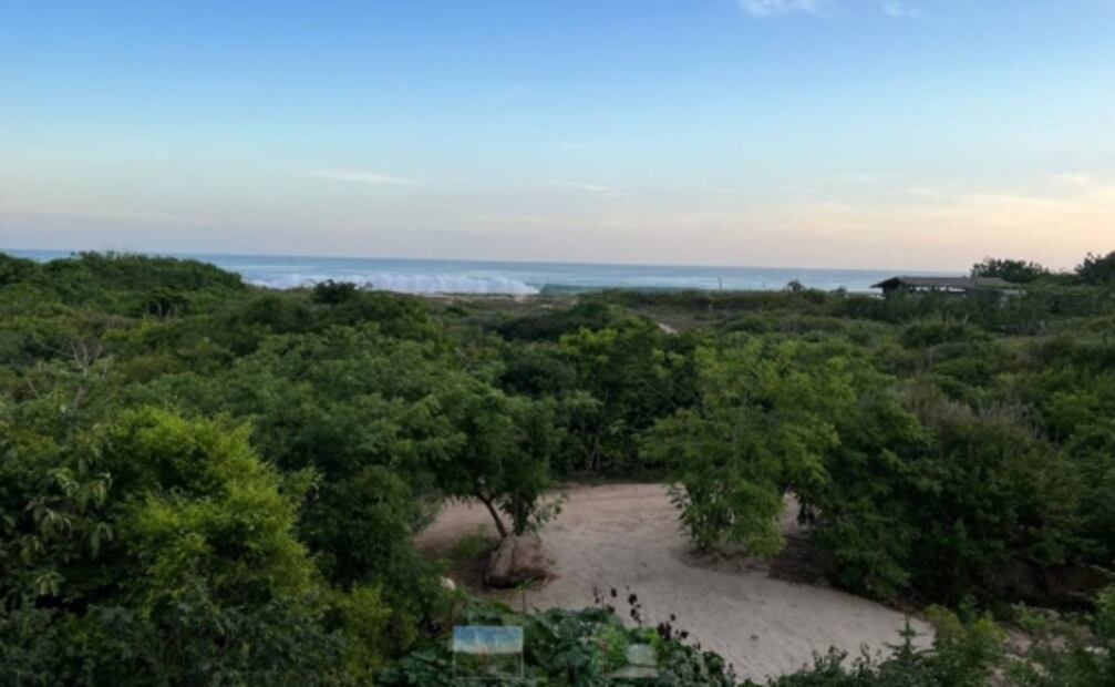 Laura Zapata se contagia de Covid en su festejo de cumpleaños