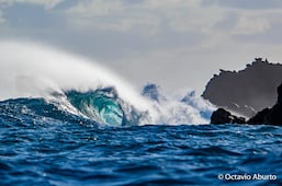 Conservación marina, bienestar comunitario y futuro costero para México 