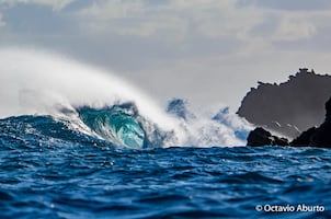 Conservación marina, bienestar comunitario y futuro costero para México 