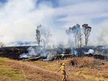 Protección Civil del Edomex insta a prevenir incendios forestales