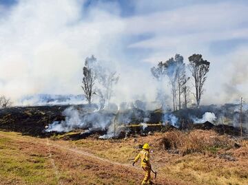 Protección Civil del Edomex insta a prevenir incendios forestales