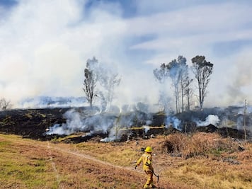 Protección Civil del Edomex insta a prevenir incendios forestales