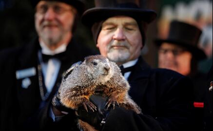 La marmota Phil predice un largo invierno en Estados Unidos