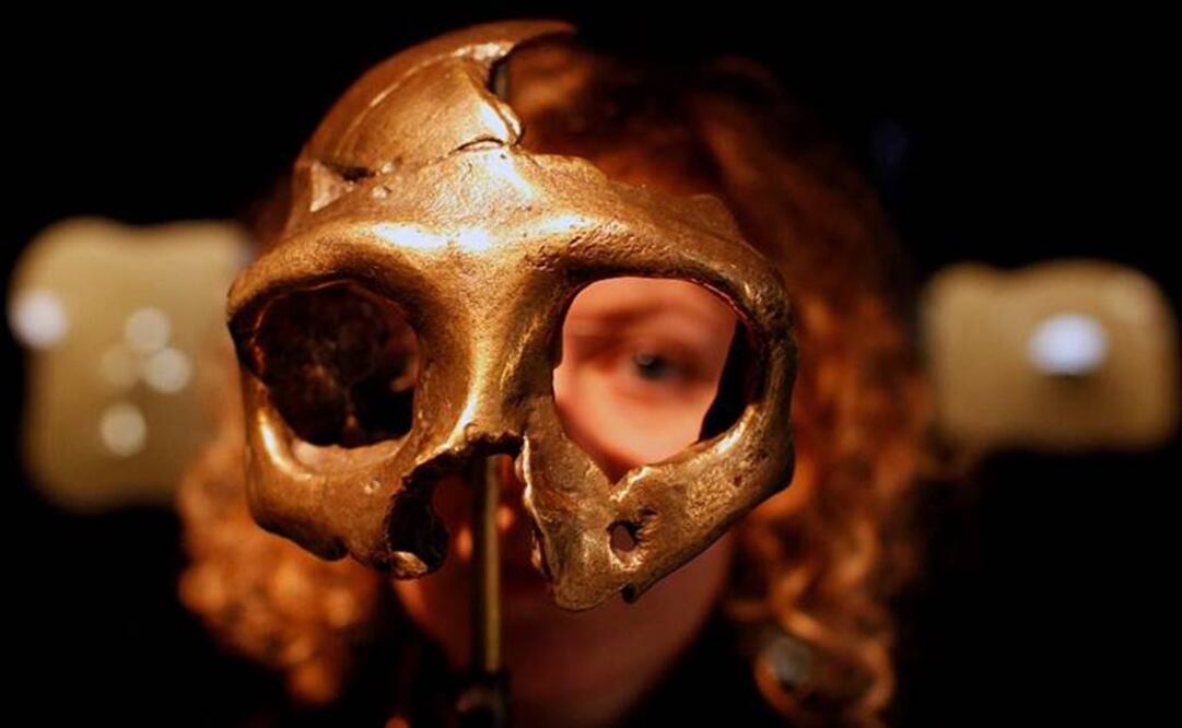Humanos modernos pudieron tener ventaja sobre Neandertales por dieta