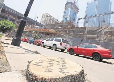 Dinero de multa interpuesta a Mítikah se usará en mejorar zona donde hubo talas