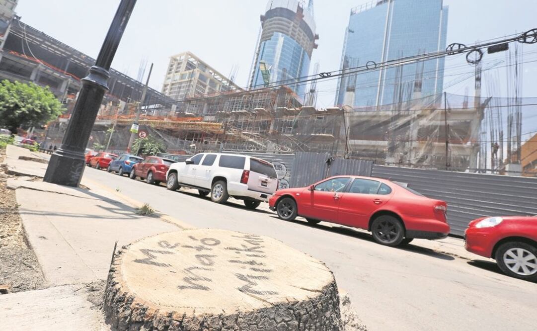 Foto: Archivo. EL UNIVERSAL