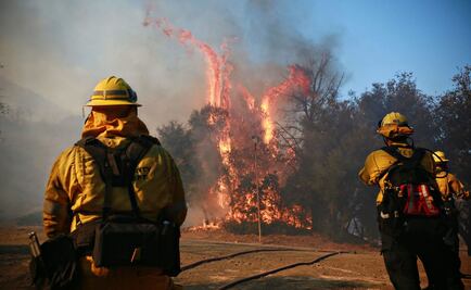 Aumenta a 42 cifra de muertos por incendios en California