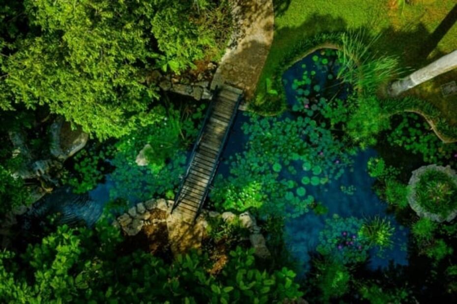 En Yucatán, duerme en una antigua hacienda hecha hotel 