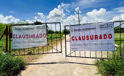 Clausuran definitivamente mega granja porcícola en Santa María Chi; contaminó agua y envenenó fauna con agroquímicos