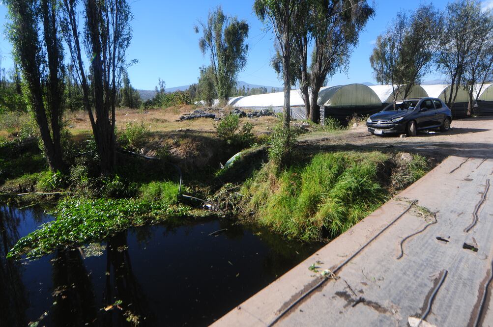 ARCHIVO / EL UNIVERSAL