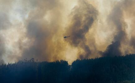 Sube a 63 la cifra de muertos por incendio en Portugal