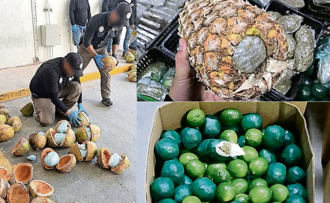 Autoridades mexicanas han logrado descubrir varias de las maneras en que el crimen organizado ha intentado utilizar productos comestibles como método para el trasiego de drogas a Estados Unidos por la vía terrestre. (12/03/2025) Foto: Especial