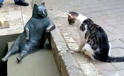 Turquía levanta estatua en honor a su gato favorito