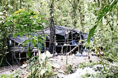 Narcotráfico en las FARC, desafío de la paz colombiana