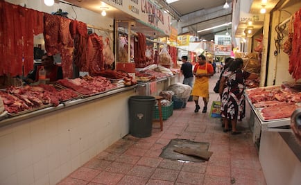 Ganaderos piden frenar importación desmedida de carne a México; en alerta unos 750 mil productores