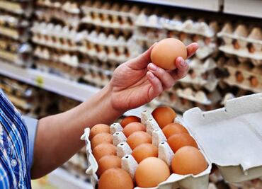 Experto de la UNAM derrumba mito de riesgo por más de dos huevos al día