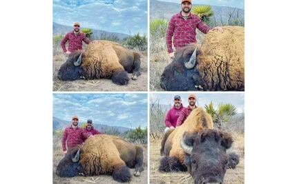 Denuncia gobierno de Coahuila presunta caza ilegal de Bisonte en rancho cinegético