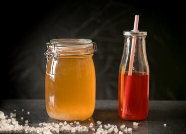 ¿Qué son los tibicos?