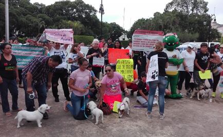 Marchan en Yucatán contra el maltrato animal