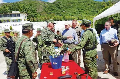 Sobrevuela John Kelly campos de amapola