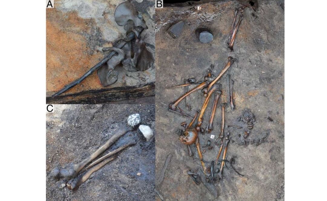 Excavaciones arqueológicas en Dinamarca arrojaron evidencias sobre una feroz batalla en el siglo I d.C. Foto: Revista PNAS
