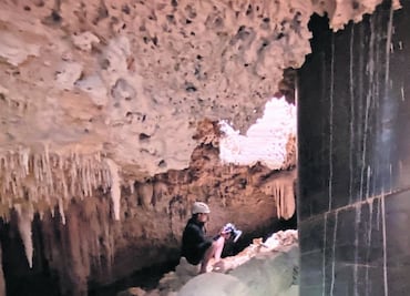 “Estamos frente a un ecocidio a nivel munidal”: Michel Duhart