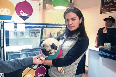 Helados para veganos, diabéticos y perros 