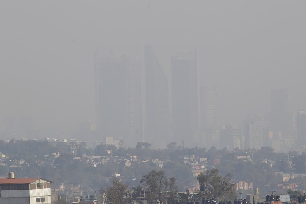 Foto: Agustín Salinas/EL UNIVERSAL