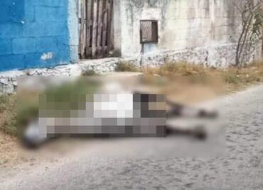 Hallan cadáver de un caballo luego de ser abandonado en calles de Yucatán; tenía signos de desnutrición y maltrato