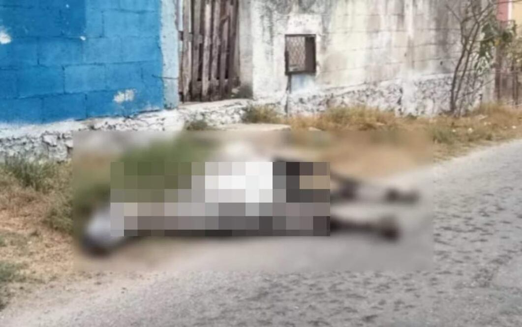 Vecinos de Acanceh reportaron el hallazgo del cadáver de un caballo en las calles (04/06/2025). Foto: Especial