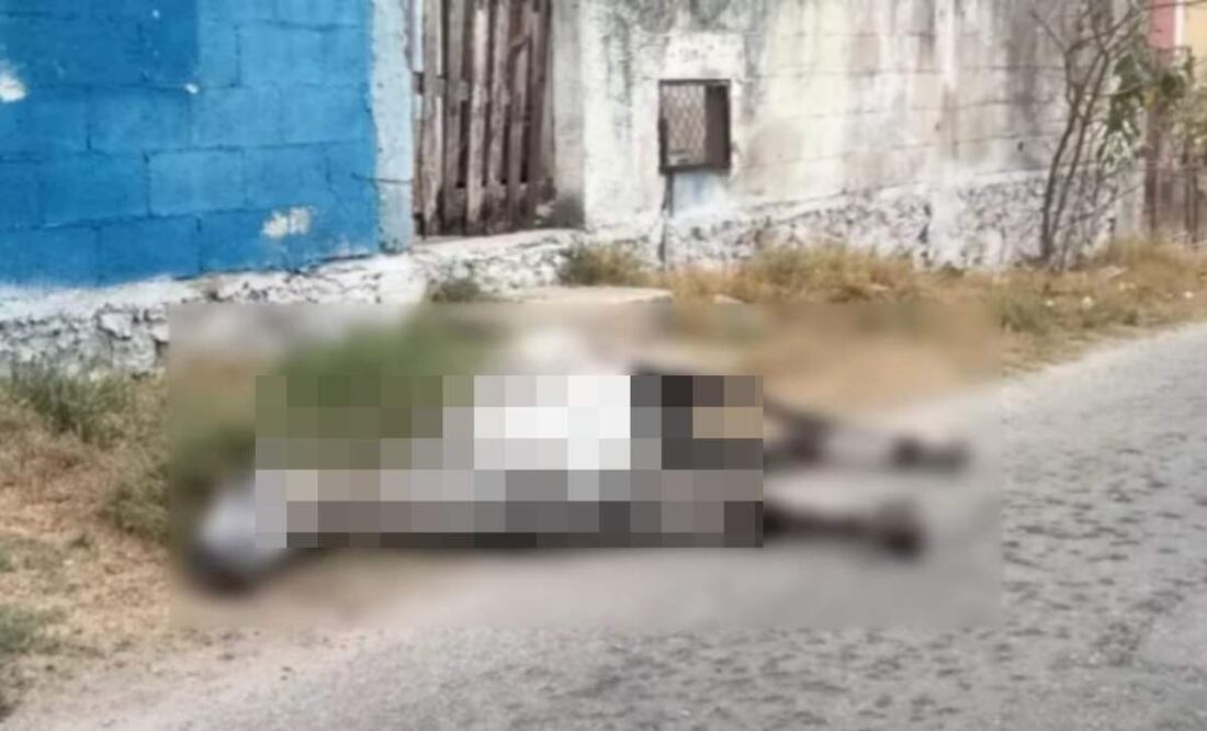 Vecinos de Acanceh reportaron el hallazgo del cadáver de un caballo en las calles (04/06/2025). Foto: Especial