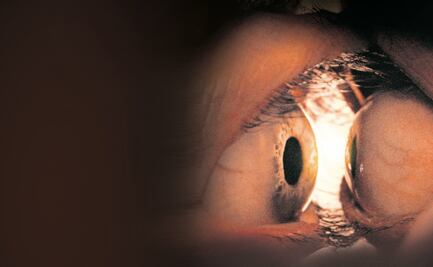 "Together": Una romántica historia de horror