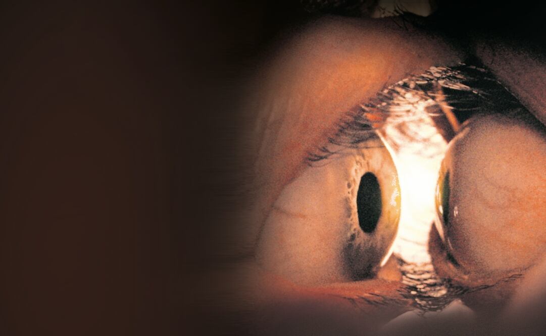 Together. Foto: Diamond Films