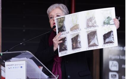 Unesco declara al Lago de Texcoco como sitio de Ecohidrología; Semarnat rehabilitará el área en su totalidad 