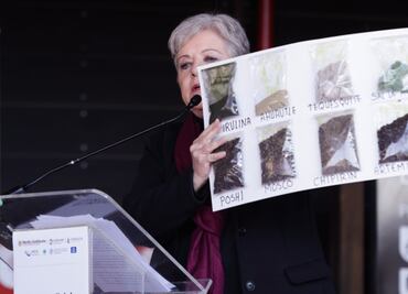 Unesco declara al Lago de Texcoco como sitio de Ecohidrología; Semarnat rehabilitará el área en su totalidad