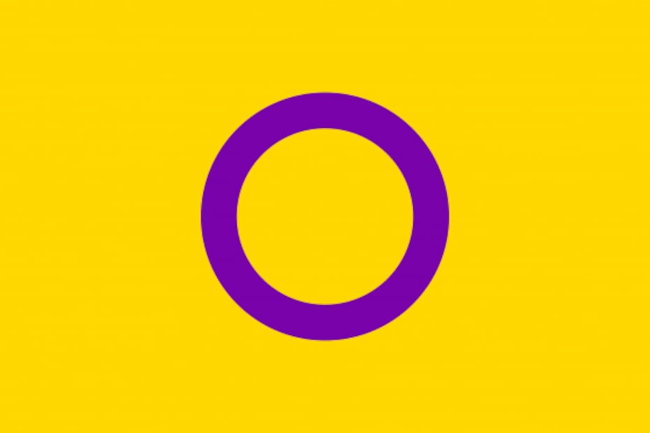 No sólo es la del arcoíris: conoce otras de las banderas de la comunidad LGBTI