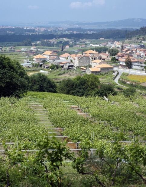 Santiago de Compostela, un destino de ensueño para el futuro