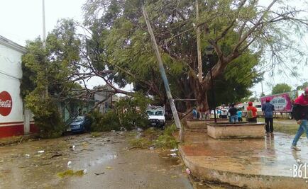 Frente frío 31 deja un muerto y varios lesionados en Q.Roo