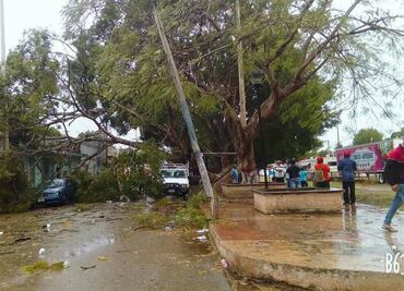 Frente frío 31 deja un muerto y varios lesionados en Q.Roo