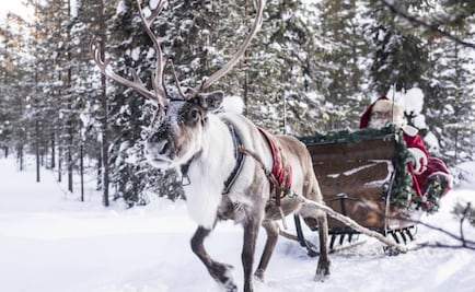 Renos y trineos en la aldea de Santa Claus