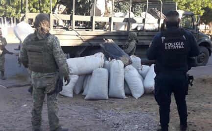 Decomisan costales con 800 kilos de marihuana en Sinaloa