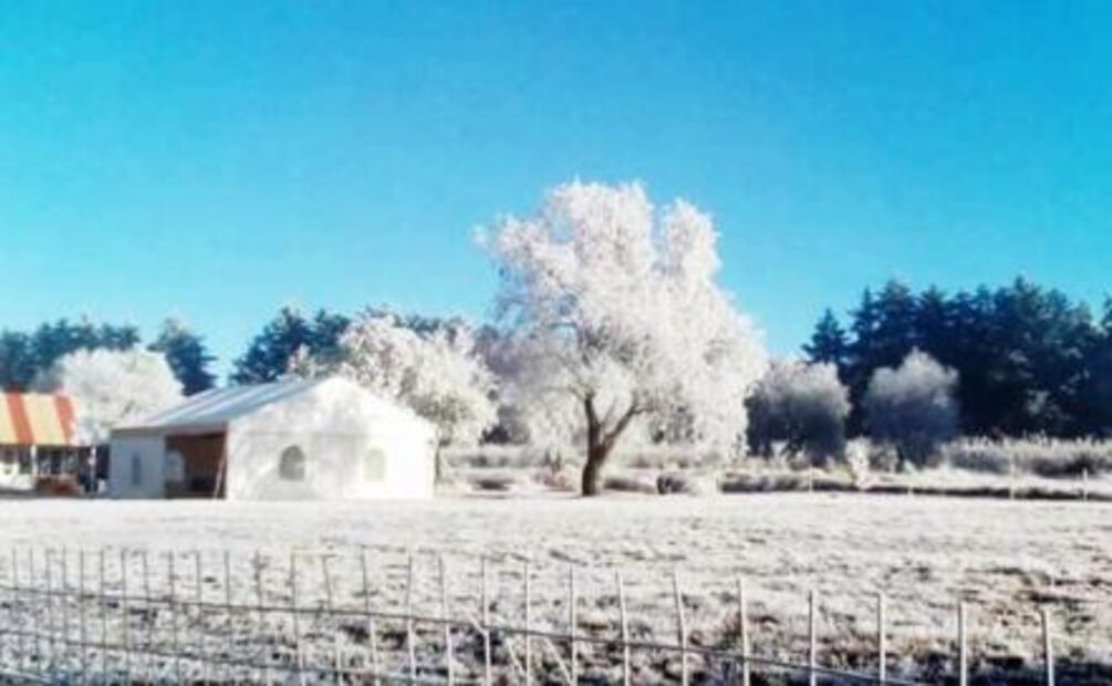Estas son las imágenes de las nevadas en los estados