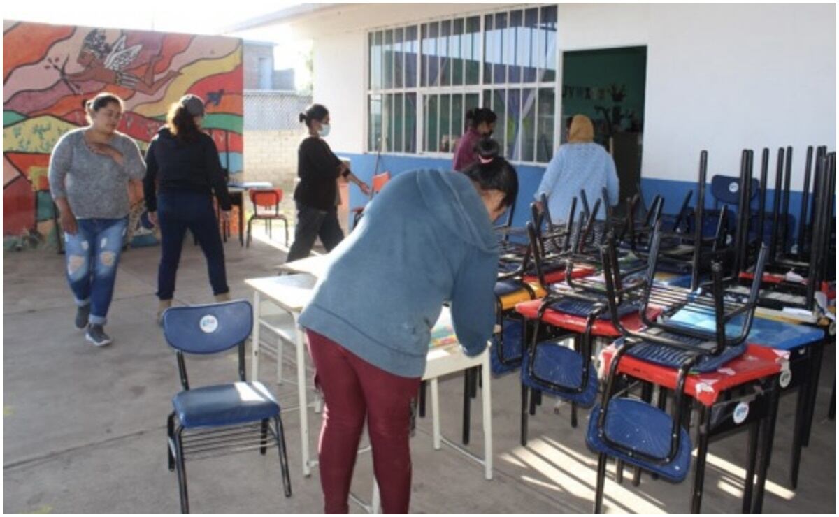 Escuelas de Guanajuato eliminan criaderos de moscos ante proliferación del dengue. Foto: Especial