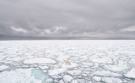Hielo del Ártico alcanza récord por sus niveles más bajos en 40 años